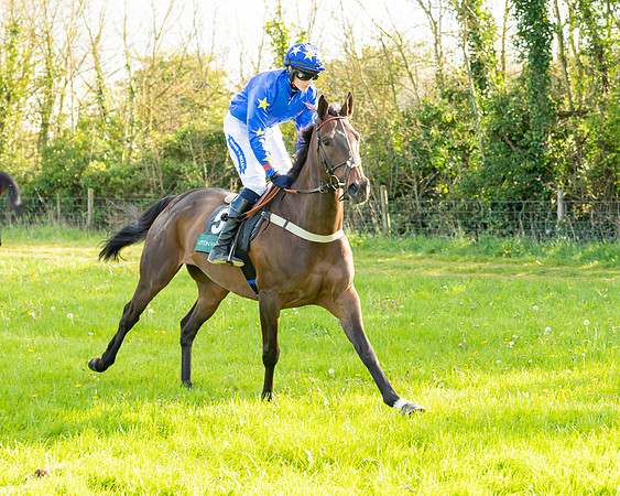 Race 7 - Maiden  (25 of 113)