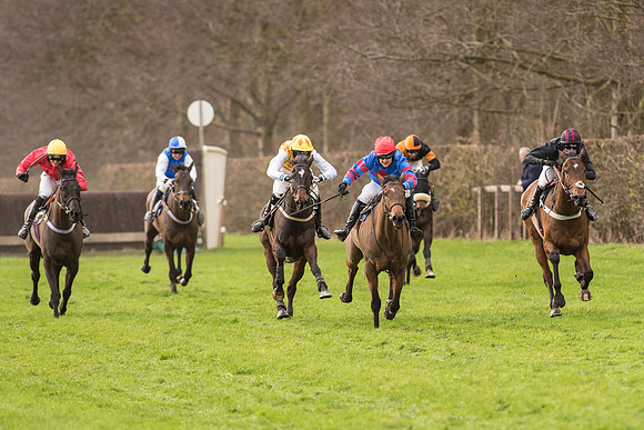Race 2 - Young Horse Maiden (76 of 110).jpg