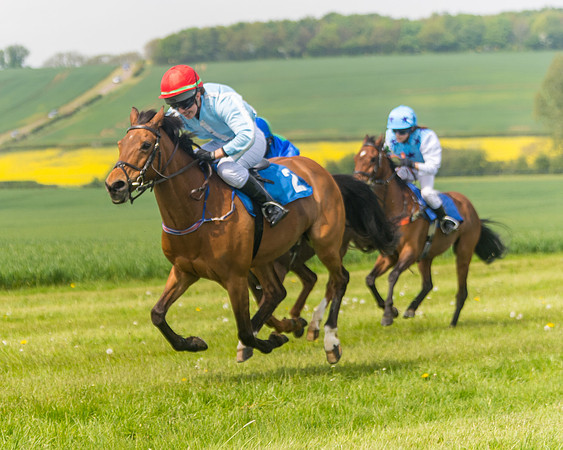 Pony Race 1 - 138cm (45 of 74)