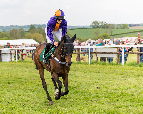 Race 6 = Maiden (41 of 187)