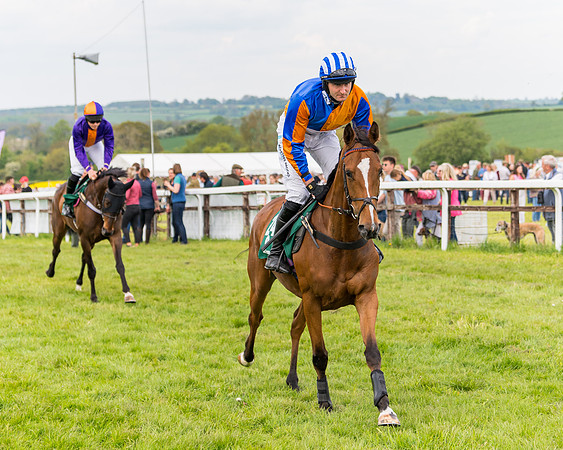 Race 6 = Maiden (38 of 187)