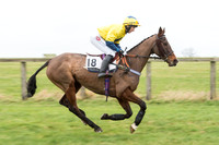 Race 7 - Open Maiden (17 of 131).jpg