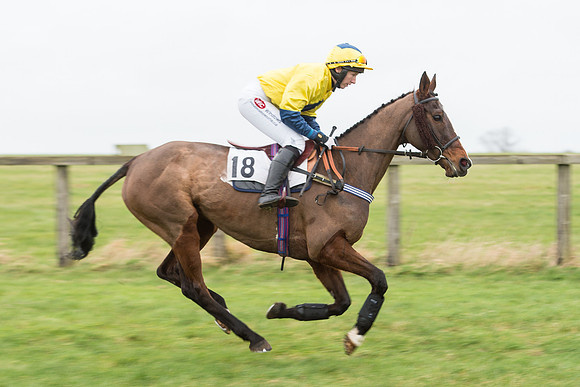 Race 7 - Open Maiden (17 of 131).jpg