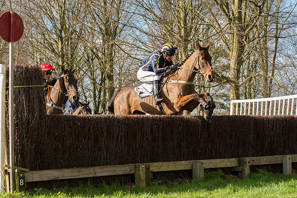 Race 1 - Intermediate Race (45 of 86).jpg