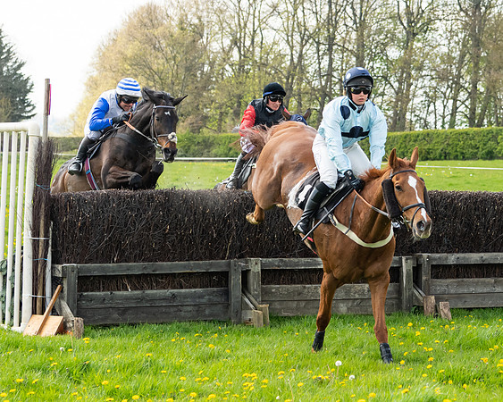 Race 2 - Veteran Horse  (63 of 82)