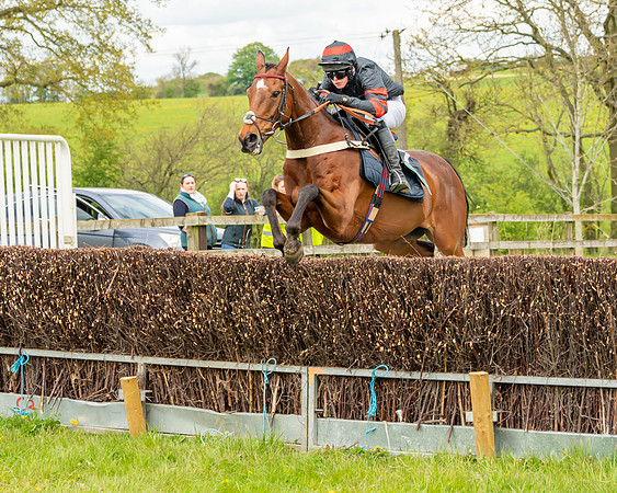 Race 2 - ROR and veteran Horse Conditions race (27 of 77)