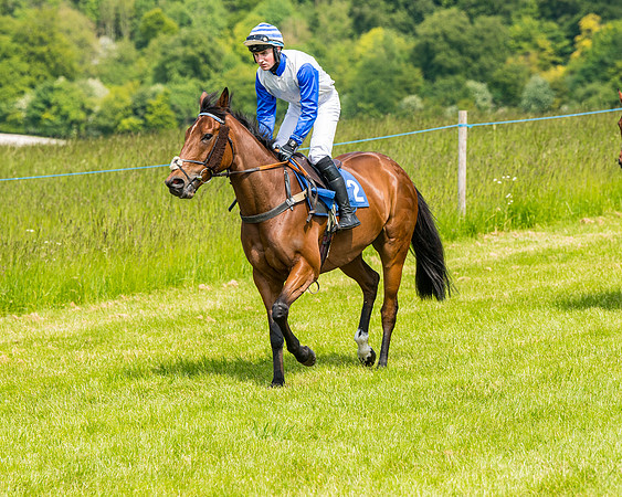 Race 2 - PPORA Novice Riders (165 of 444)