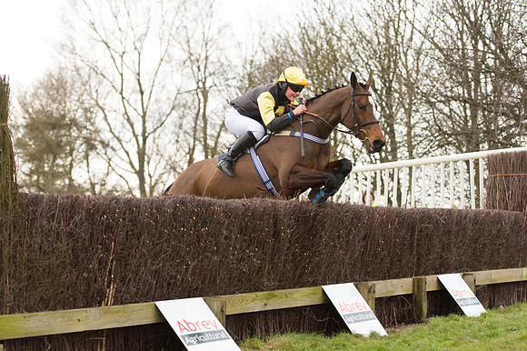 Race 2 - PPORA Novice riders  (167 of 186).jpg