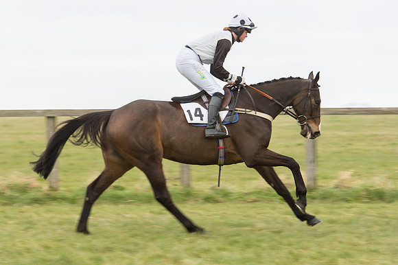 Race 2 - PPORA Novice riders  (45 of 186).jpg