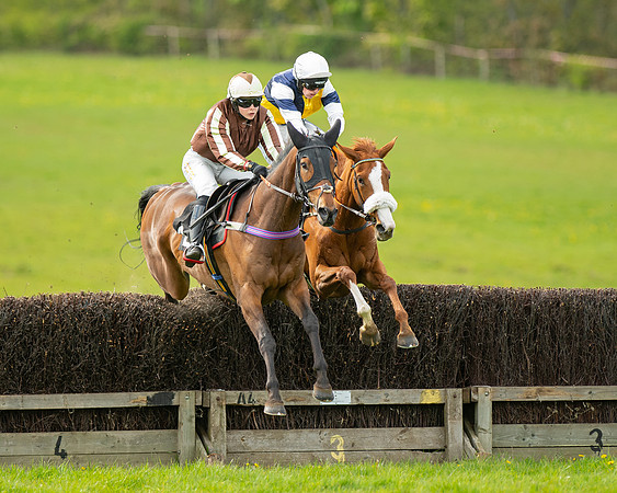 Race 5 - Open Maiden  (36 of 89)