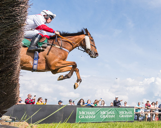 Race 4 - PPORA Novice Riders  (97 of 203)