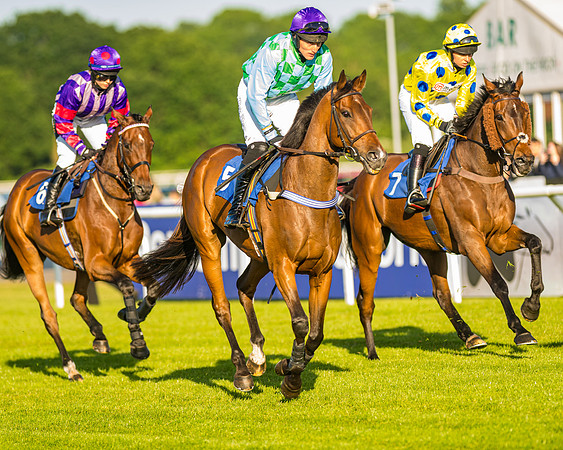 Race 4 - Foxhunters Championship (45 of 175)