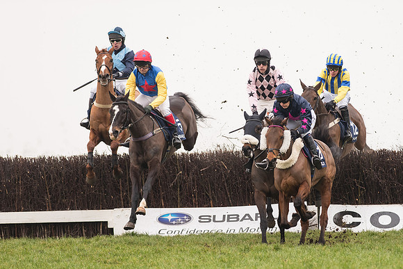 Race 5 - The Restricted Race (43 of 86).jpg