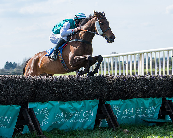 Race 3 -The Richardsons Accountants Conditions Race for Novice Riders  (57 of 154)