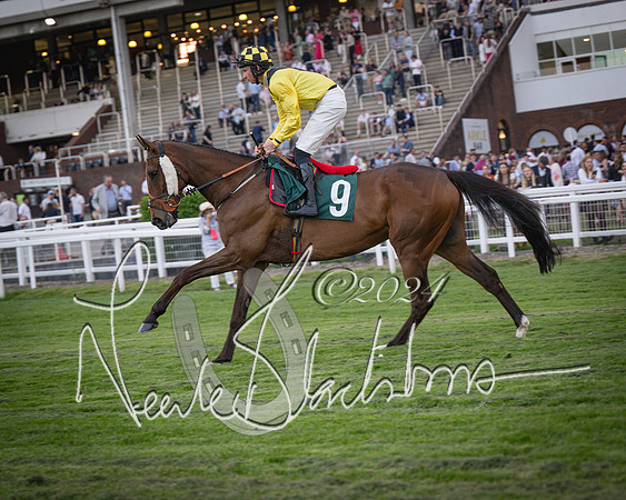 Race - 7 The Royal Gloucester Hussars Open Hunter's steeplechase 2m4f 127y (33 of 210)