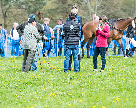 Race 2 - Veteran Horse  (18 of 82)