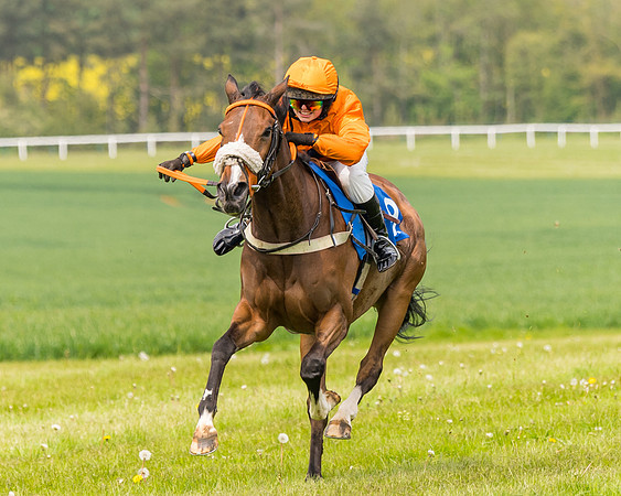 Pony Race 2 - 148cm (85 of 142)