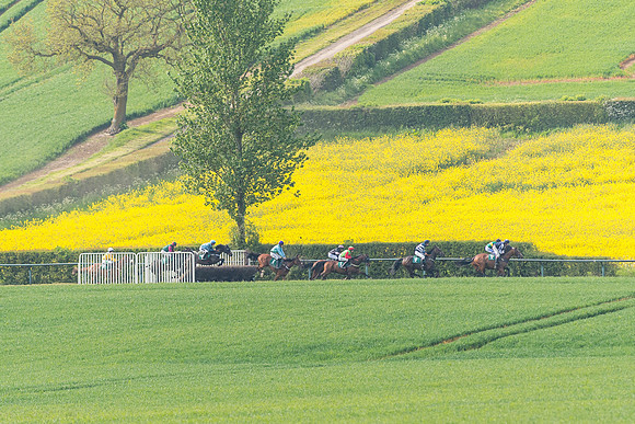 Race 5 - Restricted  (54 of 164)