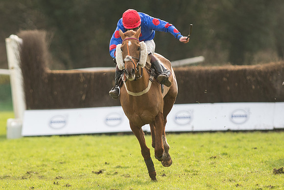 Race 5 - 2M 4F Conditions (87 of 96).jpg