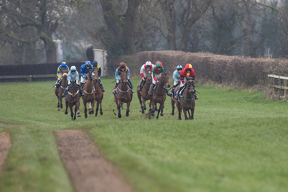 Race 7 - Young Horse Maiden  (5 of 64).jpg