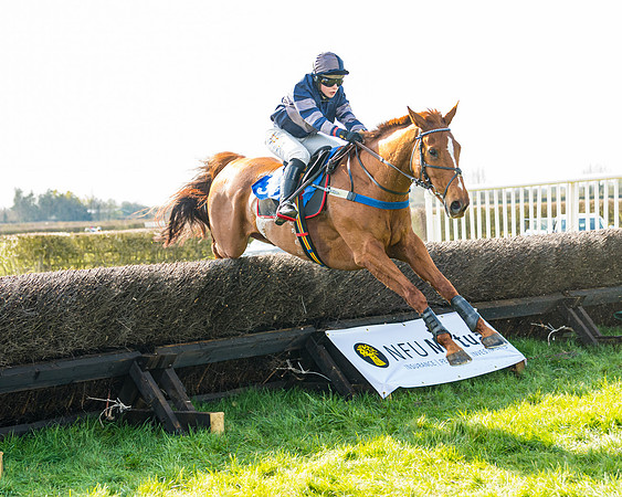 Race 4 - The Warehouse Reit Mixed Open Race  (65 of 124)