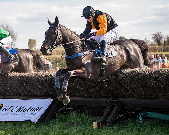 Race 5 - The Waverton Investment Management Ltd Restricted Race farmers and subscribers Race  (123 of 161)