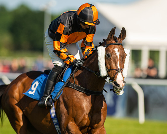 Race 1 - JFF Open Hunter Steeple Chase 2m  (6 of 202)