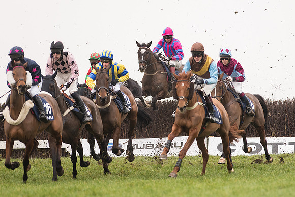 Race 5 - The Restricted Race (44 of 86).jpg