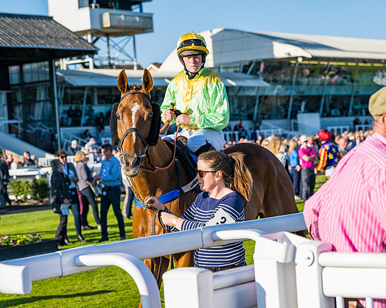 Race 4 - Foxhunters Championship (33 of 175)