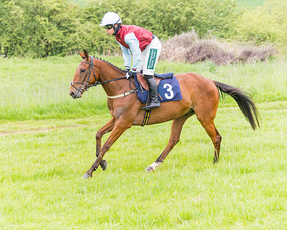 Race 6 - Maiden (16 of 129)