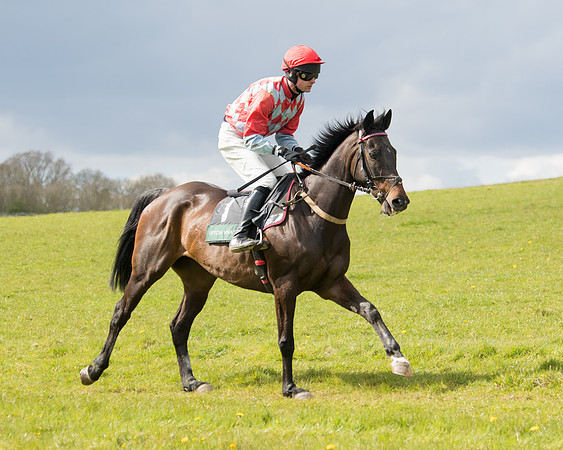 Race 3 - Owner Trainer conditions (12 of 132)