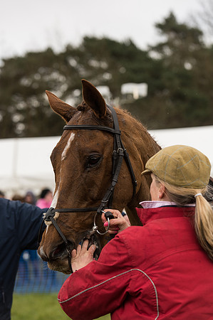 Race 2 - Novice and Veterans   (100 of 101).jpg