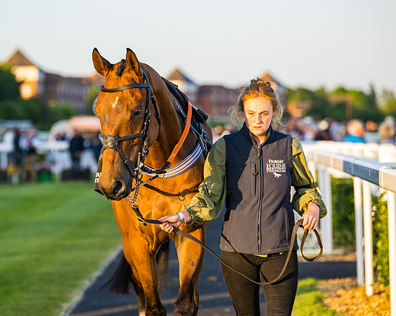 Race 7 - ITM NH Flat Race (13 of 197)
