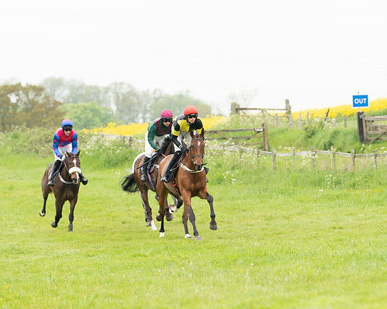 Race 2 - Five and Over restricted (41 of 136)