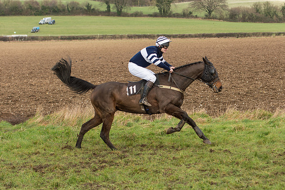 Race 3 - Kent Grand National (75 of 76).jpg