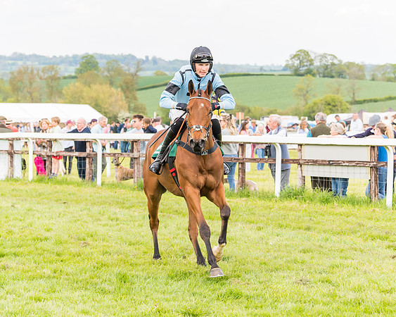 Race 6 = Maiden (49 of 187)
