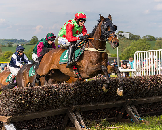 Race 5 - Restricted  (100 of 164)