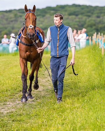Race 6 - Open Maiden (51 of 346)