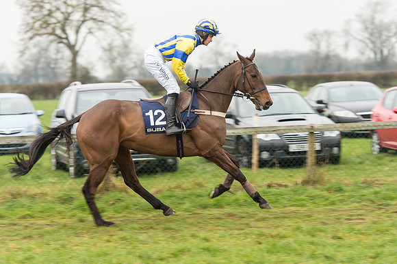 Race 5 - The Restricted Race (6 of 86).jpg