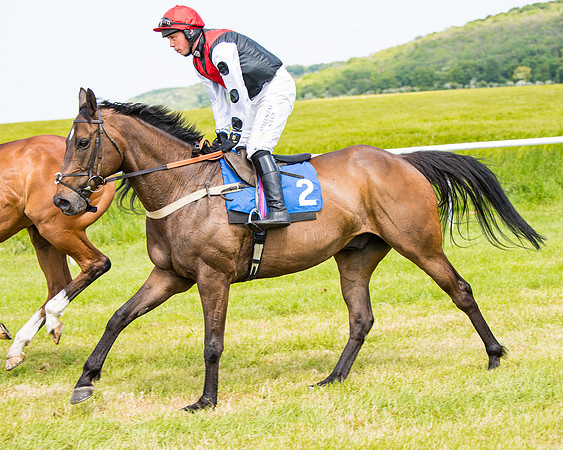 Race 1 - The Little Red owner Trainer conditions (130 of 345)