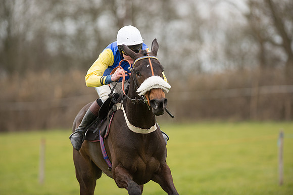 Race 5 - Open Maiden (36 of 38).jpg