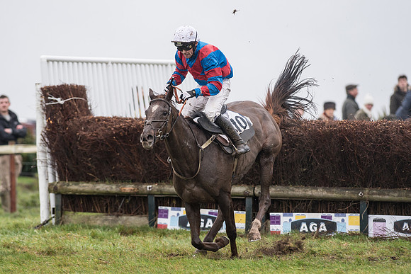 Race 5 - The Intermediate (46 of 59).jpg