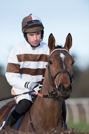 Race 5 - Restricted Race (39 of 107).jpg