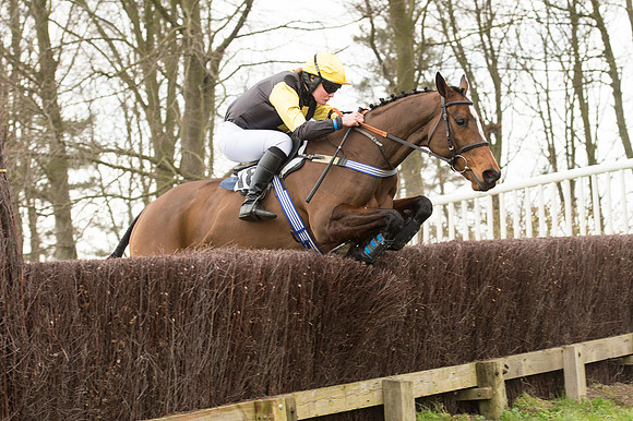 Race 2 - PPORA Novice riders  (118 of 186).jpg