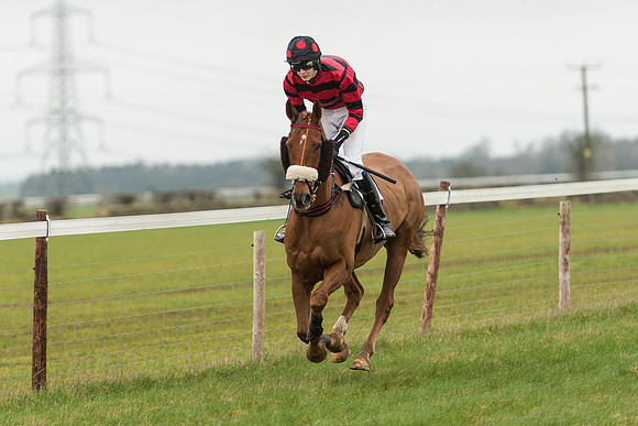 Race 3 - Novice Riders Race (37 of 150).jpg