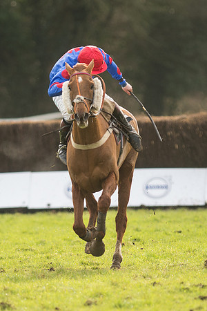 Race 5 - 2M 4F Conditions (86 of 96).jpg
