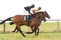 Race 6 Div 2 - Open Maiden  (14 of 131).jpg