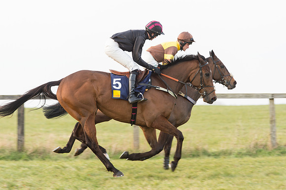 Race 6 Div 2 - Open Maiden  (14 of 131).jpg