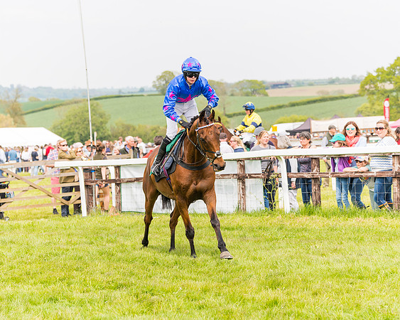 Race 2 - Owner-Trainer Conditions  (52 of 208)