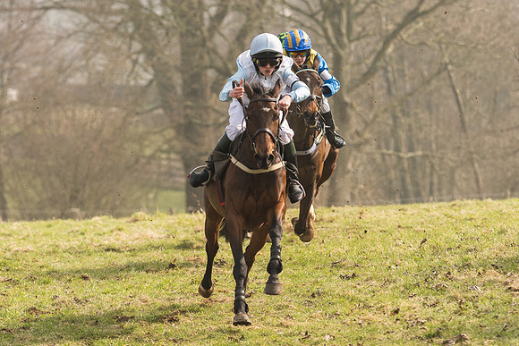 Pony Race 2 -  (10 of 32).jpg
